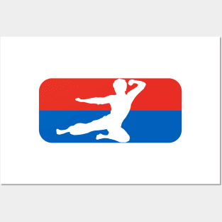 Kung Fu -   fly kick logo - NBA style Posters and Art